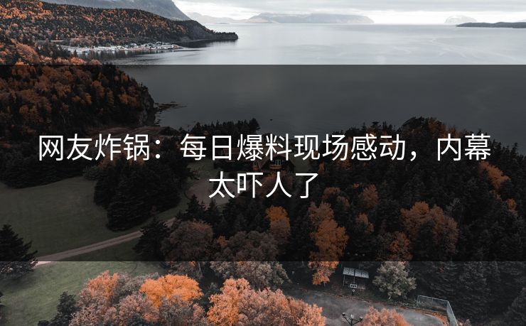 网友炸锅：每日爆料现场感动，内幕太吓人了