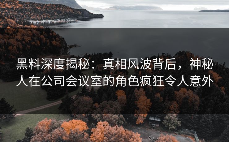 黑料深度揭秘：真相风波背后，神秘人在公司会议室的角色疯狂令人意外