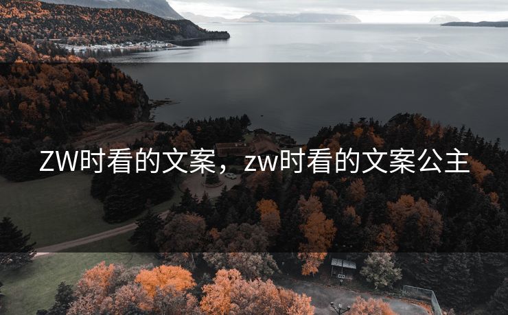 ZW时看的文案，zw时看的文案公主